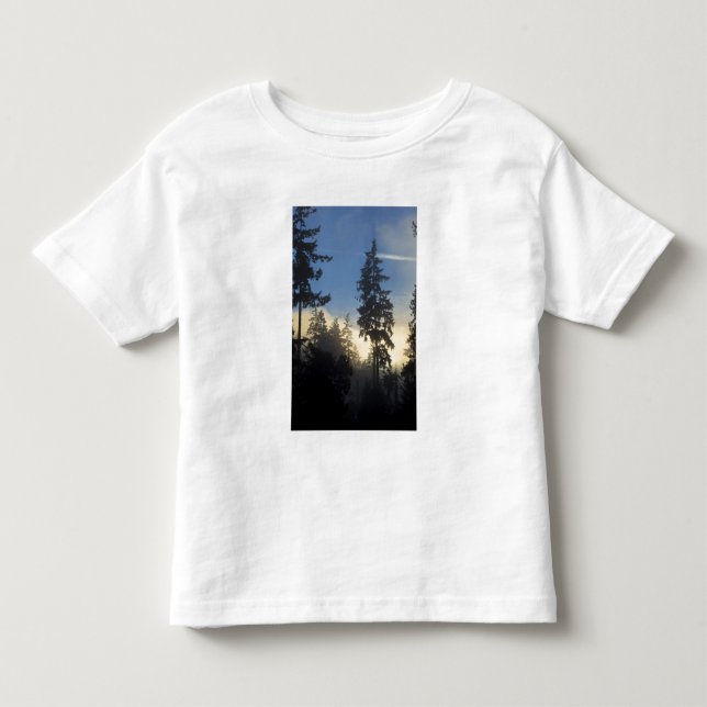 Camiseta De Bebé Parque Stanley, bosques, niebla de capa marina que (Anverso)