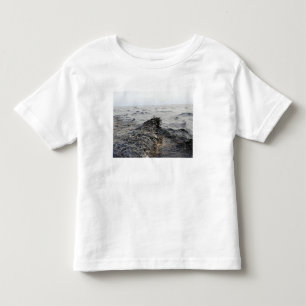 Camiseta De Bebé Parte de un pulido de aceite en el Golfo de Méxic