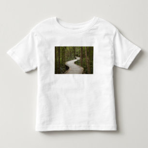 Camiseta De Bebé Paseo marítimo a Nelson Falls, Franklin - Gordon