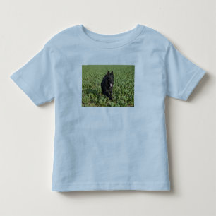 Camiseta De Bebé Pastor alemán negro de la laca
