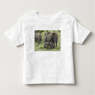 Camiseta De Bebé Pastor de elefantes africanos, Loxodonta africana,