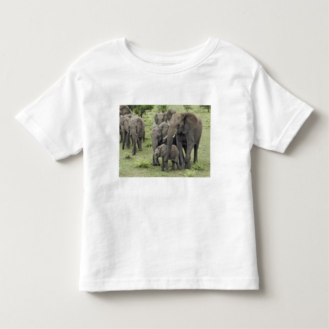 Camiseta De Bebé Pastor de elefantes africanos, Loxodonta africana, (Anverso)