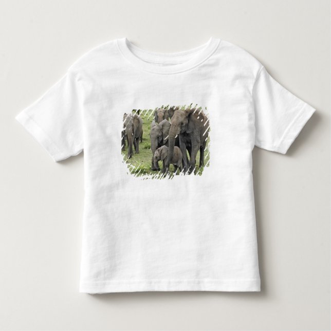 Camiseta De Bebé Pastor de elefantes africanos, Loxodonta africana, (Anverso)