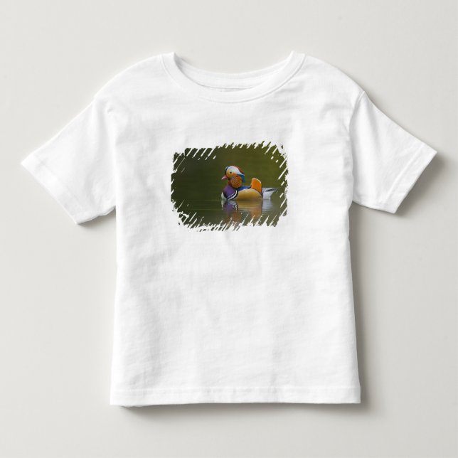 Camiseta De Bebé Pato mandarín salvaje Aix galericulata) sobre oscu (Anverso)