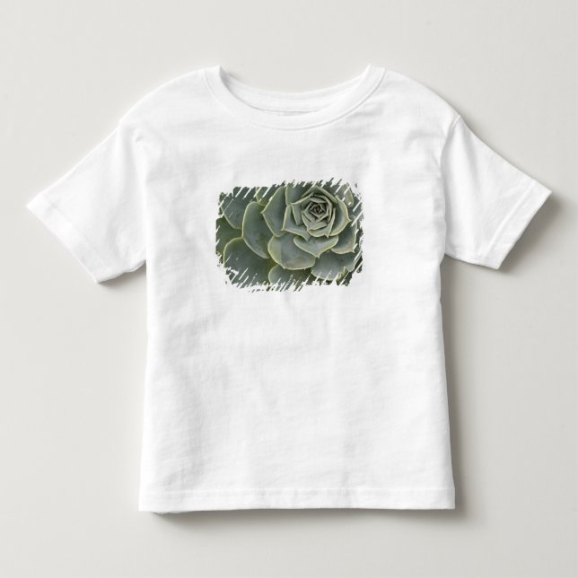 Camiseta De Bebé Patrón de cactus (Anverso)