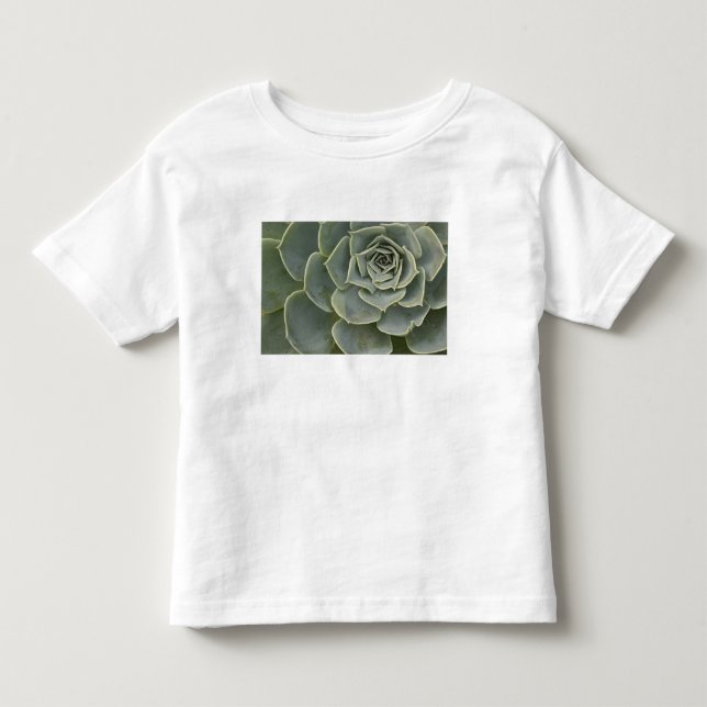 Camiseta De Bebé Patrón de cactus (Anverso)