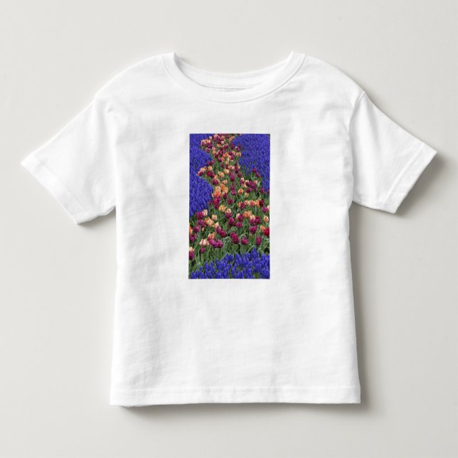 Camiseta De Bebé Patrón de tulipanes y flores de jacinto de uva, (Anverso)