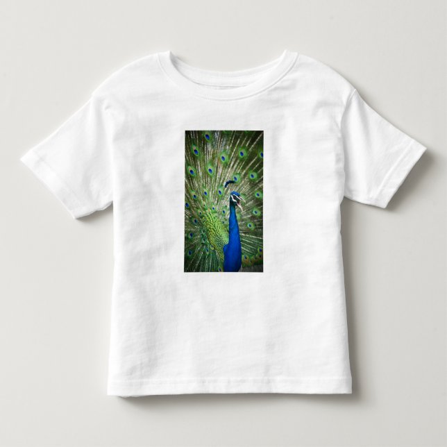 Camiseta De Bebé Pavo real de griterío (Anverso)