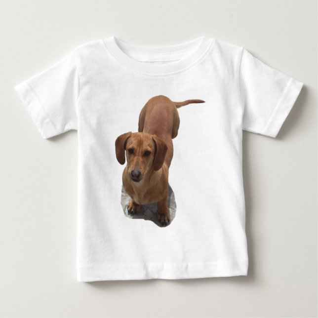 Camiseta De Bebé Perro Dachshund Marrón (Anverso)