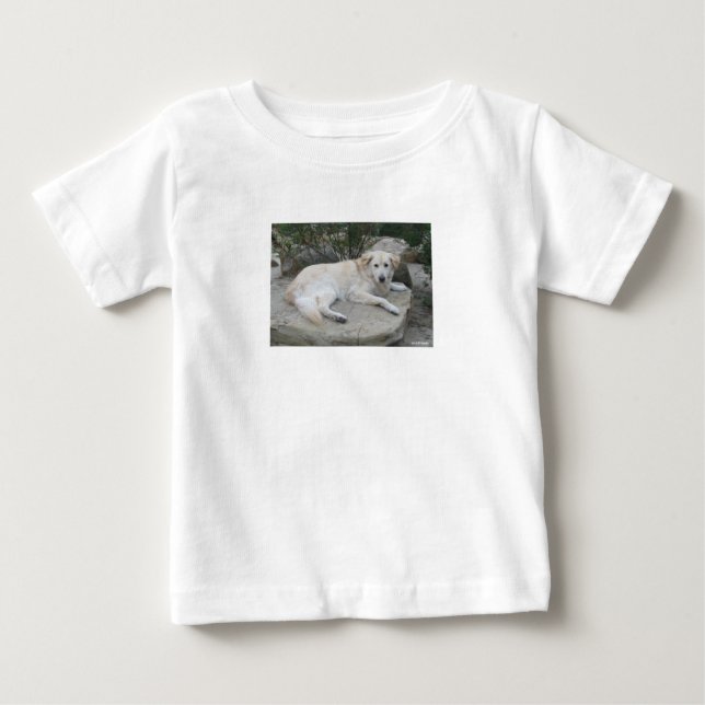 Camiseta De Bebé Perro descansando en una roca (Anverso)