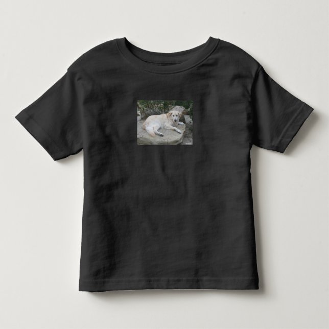 Camiseta De Bebé Perro descansando en una roca (Anverso)