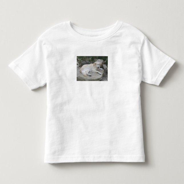 Camiseta De Bebé Perro descansando en una roca (Anverso)