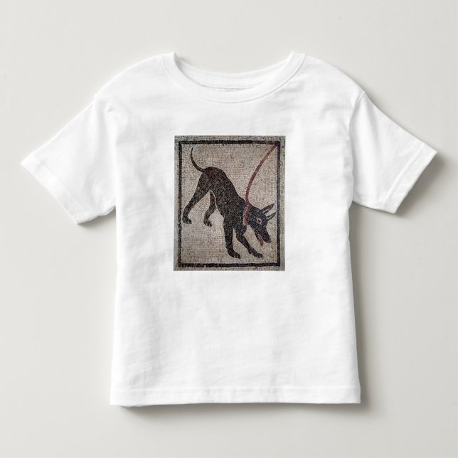 Camiseta De Bebé Perro en un correo, de Pompeya (Anverso)