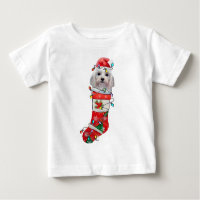 Perros malteses adorables, Navidades malteses navi