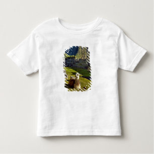 Camiseta De Bebé Perú, Andes, Montañas Andes, Machu Picchu