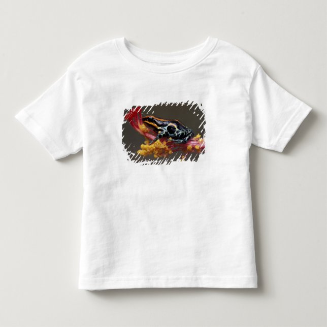 Camiseta De Bebé Perú, selva tropical peruana. Rana venenosa (Anverso)