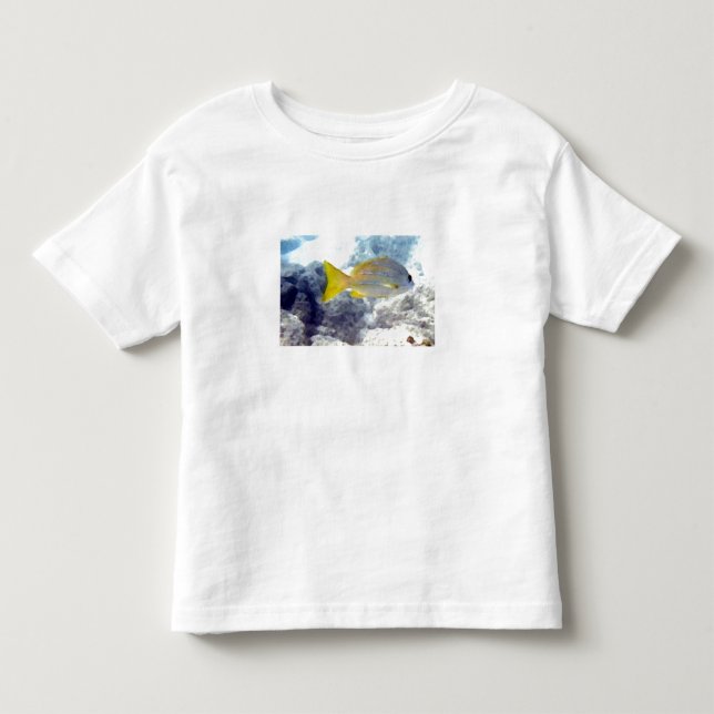 Camiseta De Bebé Pescado tropical (Anverso)