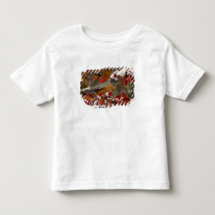 Camiseta De Bebé Petirrojo americano macho en Black Hawthorn