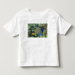 Camiseta De Bebé Pez ángel real juvenil Pygoplites