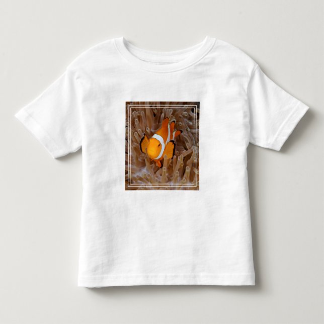 Camiseta De Bebé Pez payaso - Molokai, North Shore Cliff (Anverso)