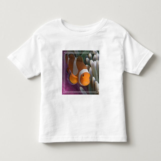 Camiseta De Bebé Pez payaso occidental (Anverso)
