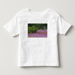 Camiseta De Bebé Phlox de Drummond, Phlox drummondi, Hilton Head