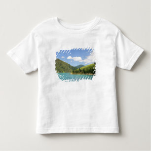Camiseta De Bebé Picton, Nueva Zelanda. La puerta de enlace entre e
