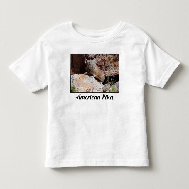 Camiseta De Bebé Pika americana posada en una roca (Anverso)