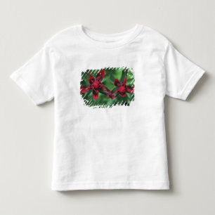 Camiseta De Bebé Pincel indio, Banff NP, Alberta, Canadá 2