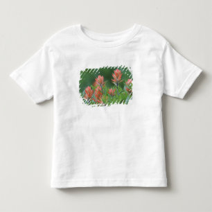 Camiseta De Bebé Pincel indio, Castilleja miniata, Ouray,