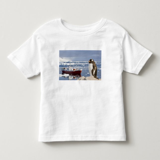 Camiseta De Bebé Pingüino de Gentoo (Anverso)