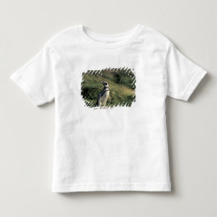 Camiseta De Bebé Pingüino de Magallanes (Spheniscus magellanicus),