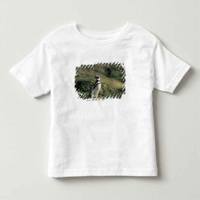 Camiseta De Bebé Pingüino de Magallanes (Spheniscus magellanicus), (Anverso)