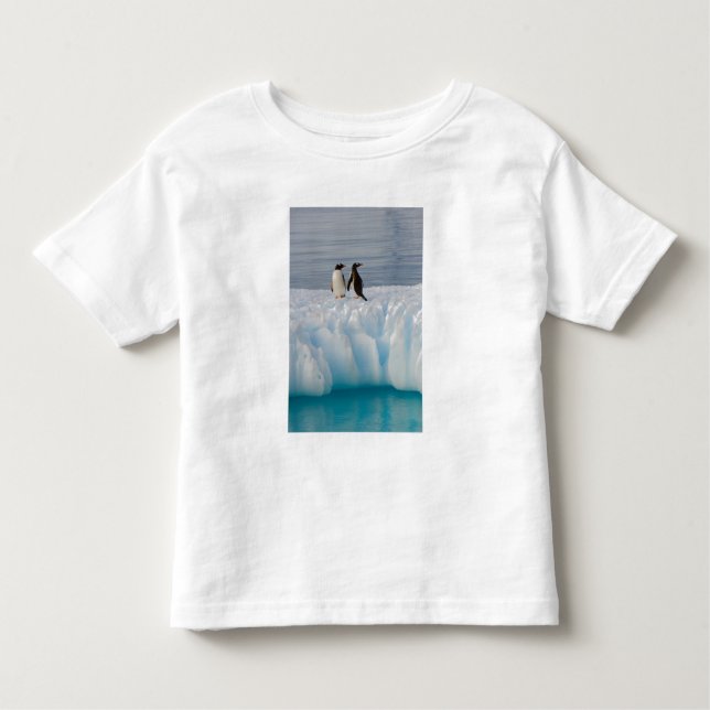 Camiseta De Bebé Pingüino gentoo, Papúa Pygoscelis, sobre hielo gla (Anverso)