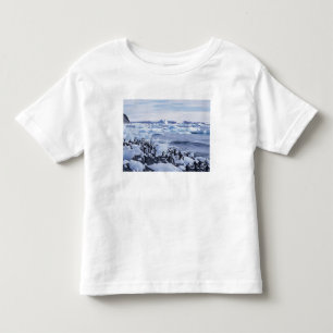 Camiseta De Bebé Pingüinos de Adelia Pygoscelis adeliae