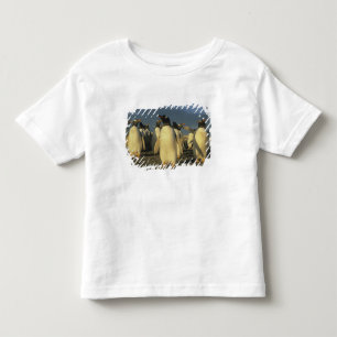 Camiseta De Bebé Pingüinos de Gentoo, (Pygoscelis papua), Falkland