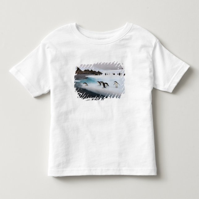Camiseta De Bebé Pingüinos de penacho anaranjado (Anverso)