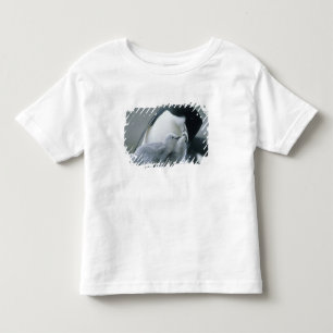 Camiseta De Bebé Pingüinos de Penacho Blanco, Pygoscelis antarctica