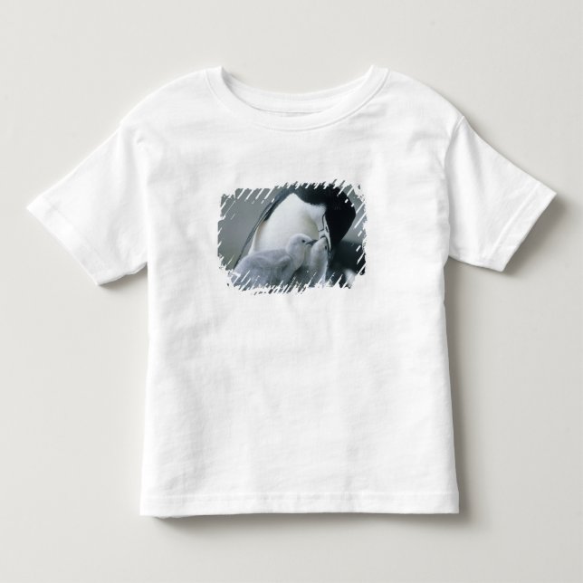 Camiseta De Bebé Pingüinos de Penacho Blanco, Pygoscelis antarctica (Anverso)