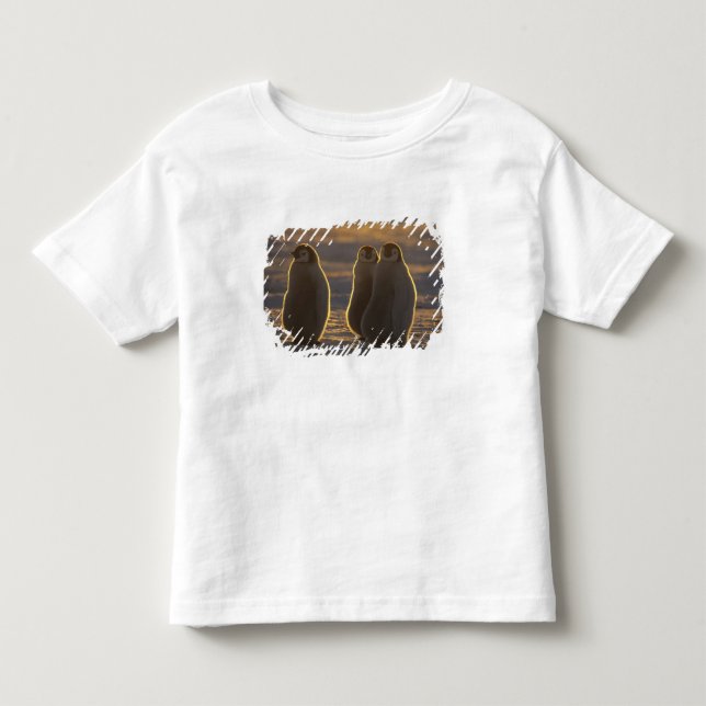 Camiseta De Bebé Pingüinos Emperadores (Anverso)