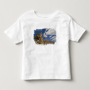 Camiseta De Bebé Pino Bristlecone en el Bosque Antiguo Bristlecone,