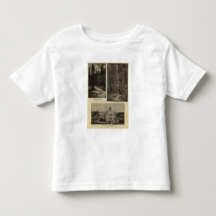 Camiseta De Bebé Pinos gigantes plaza, Salem, Oregon del bosque de