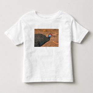 Camiseta De Bebé Pintada común (Numida meleagris). África,