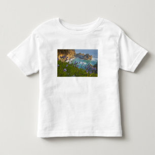 Camiseta De Bebé Pintoresca McWay Falls cae en la playa y