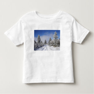 Camiseta De Bebé Pistas nevadas y pinos, Cambrians, cerca de St.