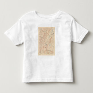 Camiseta De Bebé Pittsfield, Massachusetts