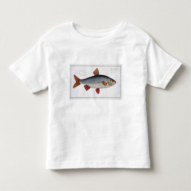Camiseta De Bebé Placa II de la cucaracha (Cyprinus Rutilis) de (Anverso)