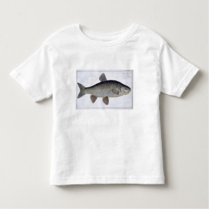 Camiseta De Bebé Placa VI del cacho (Cyprinus Jeses) de