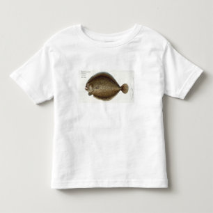 Camiseta De Bebé Placa XLIX del rodaballo (Pleuronectes Maximus) de