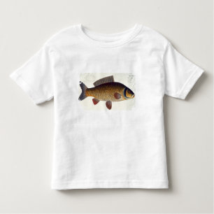 Camiseta De Bebé Placa XVI de la carpa (Cyprinus Carpio) de